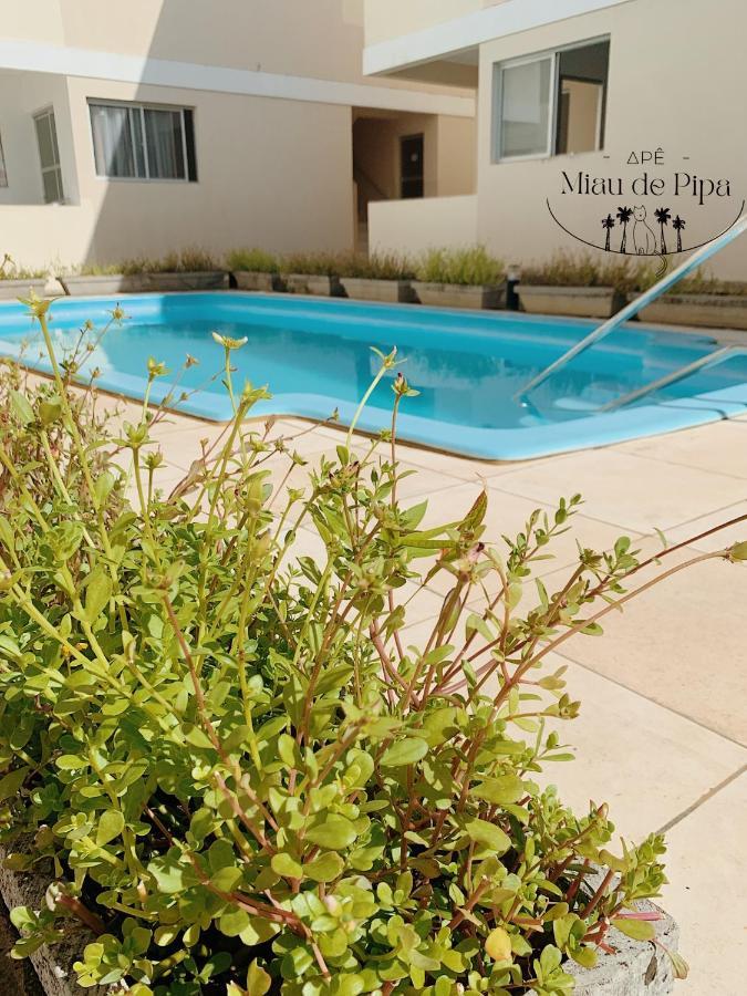Apartamento Miau de Pipa Praia de Pipa Exterior foto